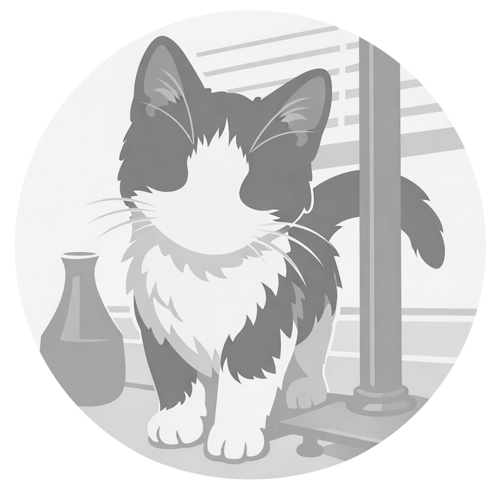 Kiito